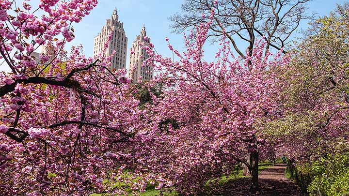 Spring Awakening New York Flyers