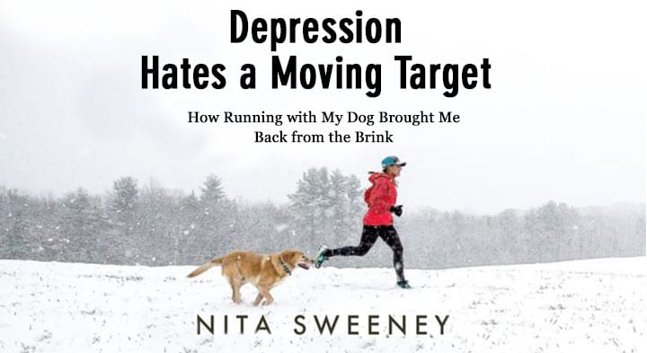 Photo of book cover jacket Depression Hates a Moving Target by Nita Sweeney.